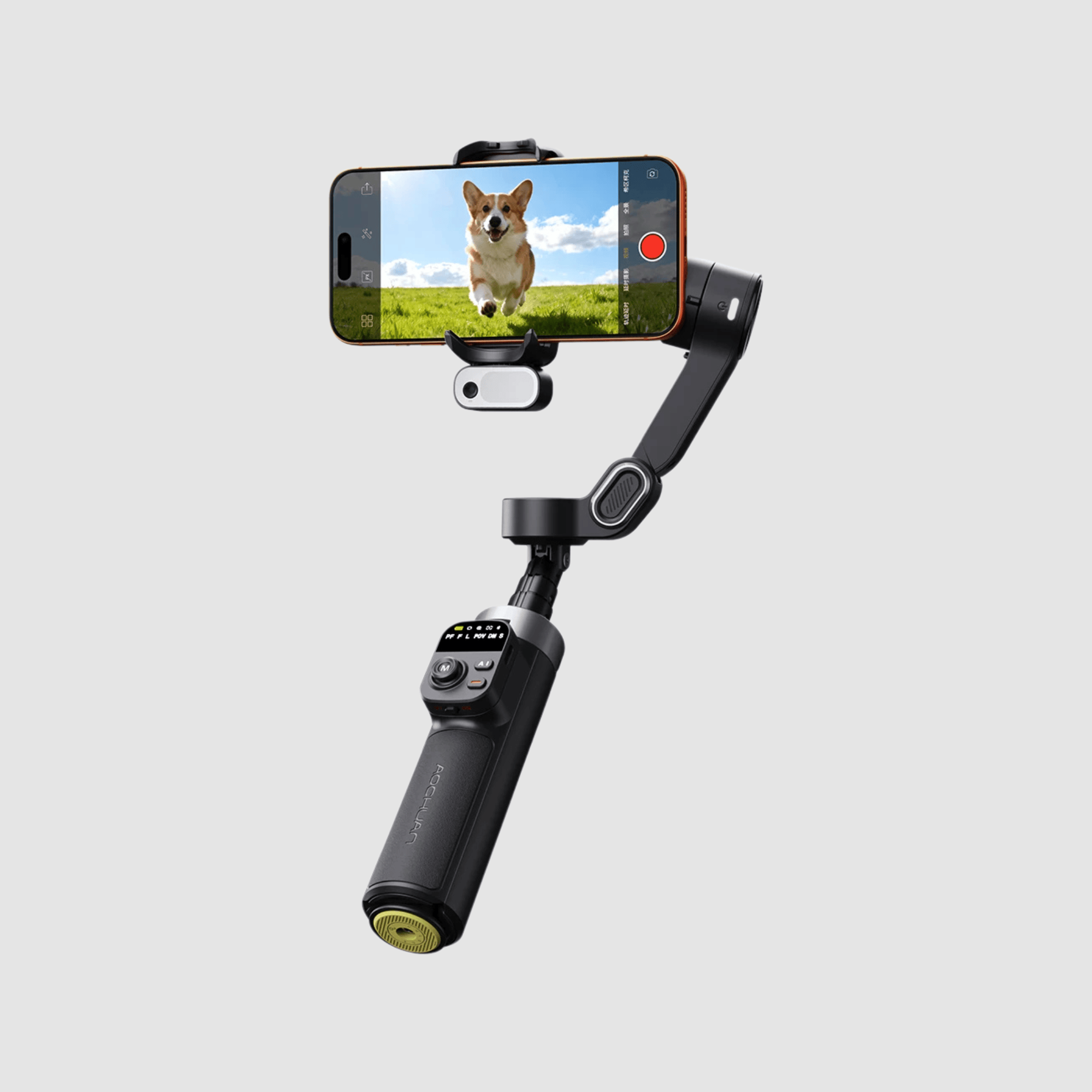 Gadget Mint Content Bundle #2 Content Bundle #2